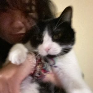 Meet your Posher, Mia